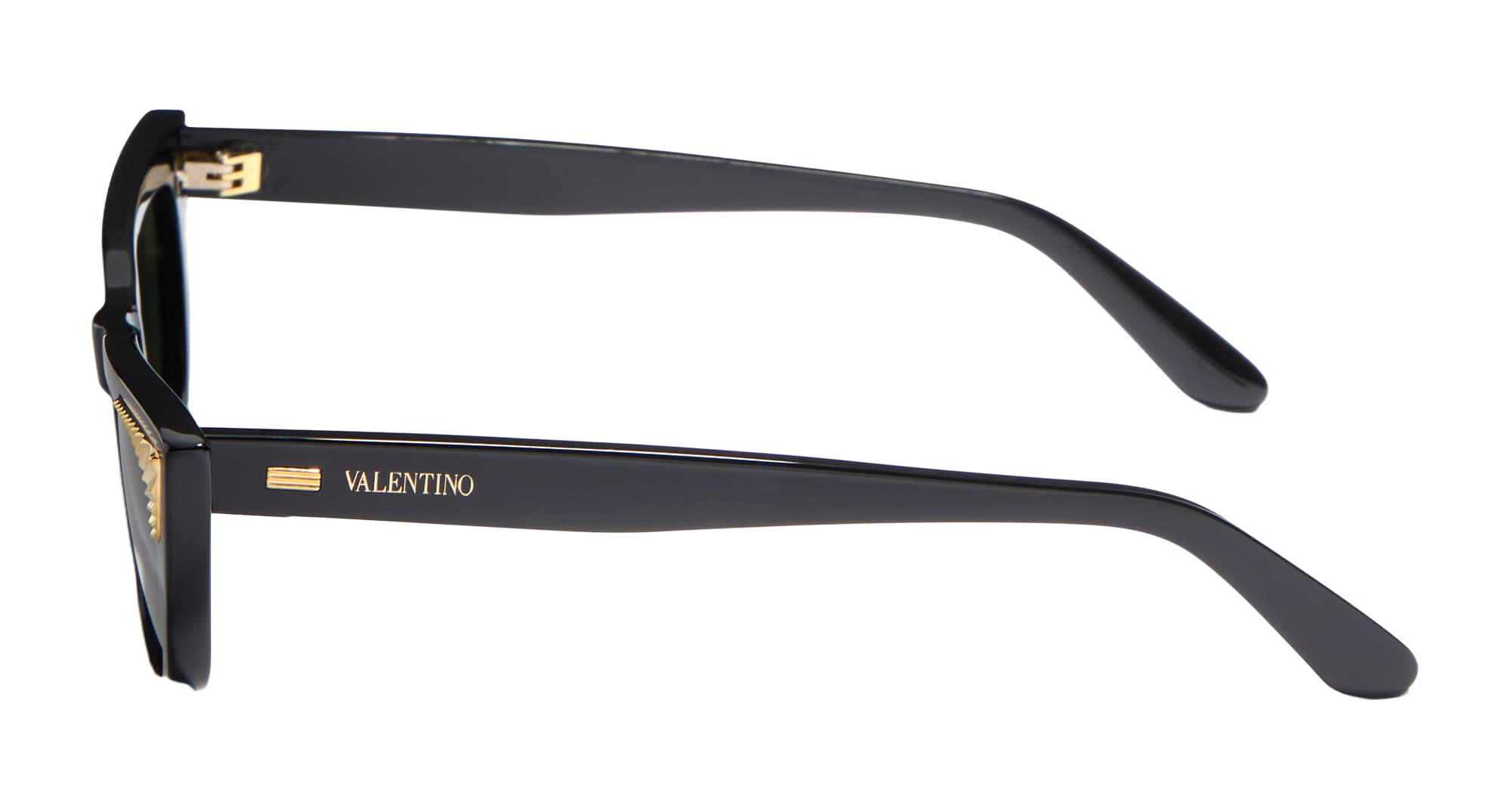 Vls-175a - Black Gold Acetate Sunglasses