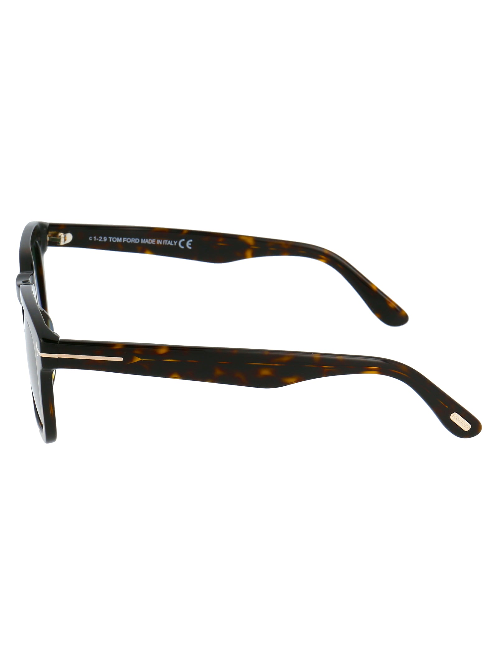 Avana Scura / Verde Acetate Sunglasses