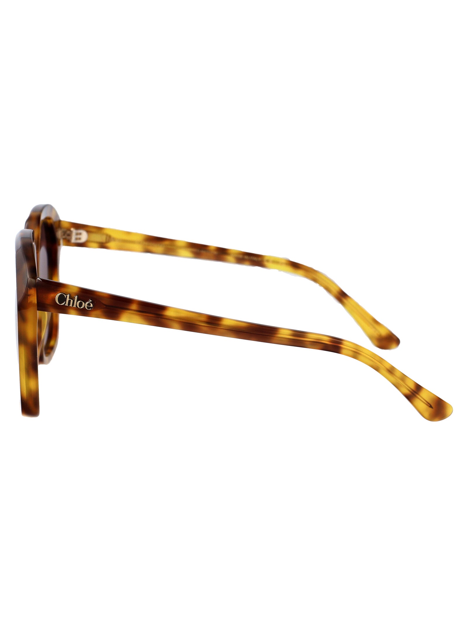 Ch0280s 004 Havana-havana-violet Acetate Sunglasses