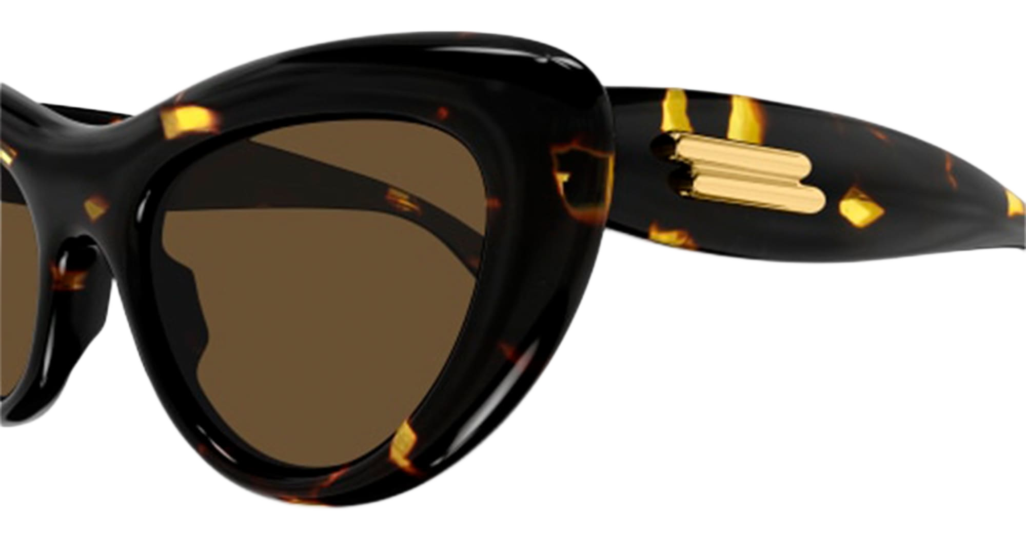 Bv1282s-002 - Havana Acetate Sunglasses
