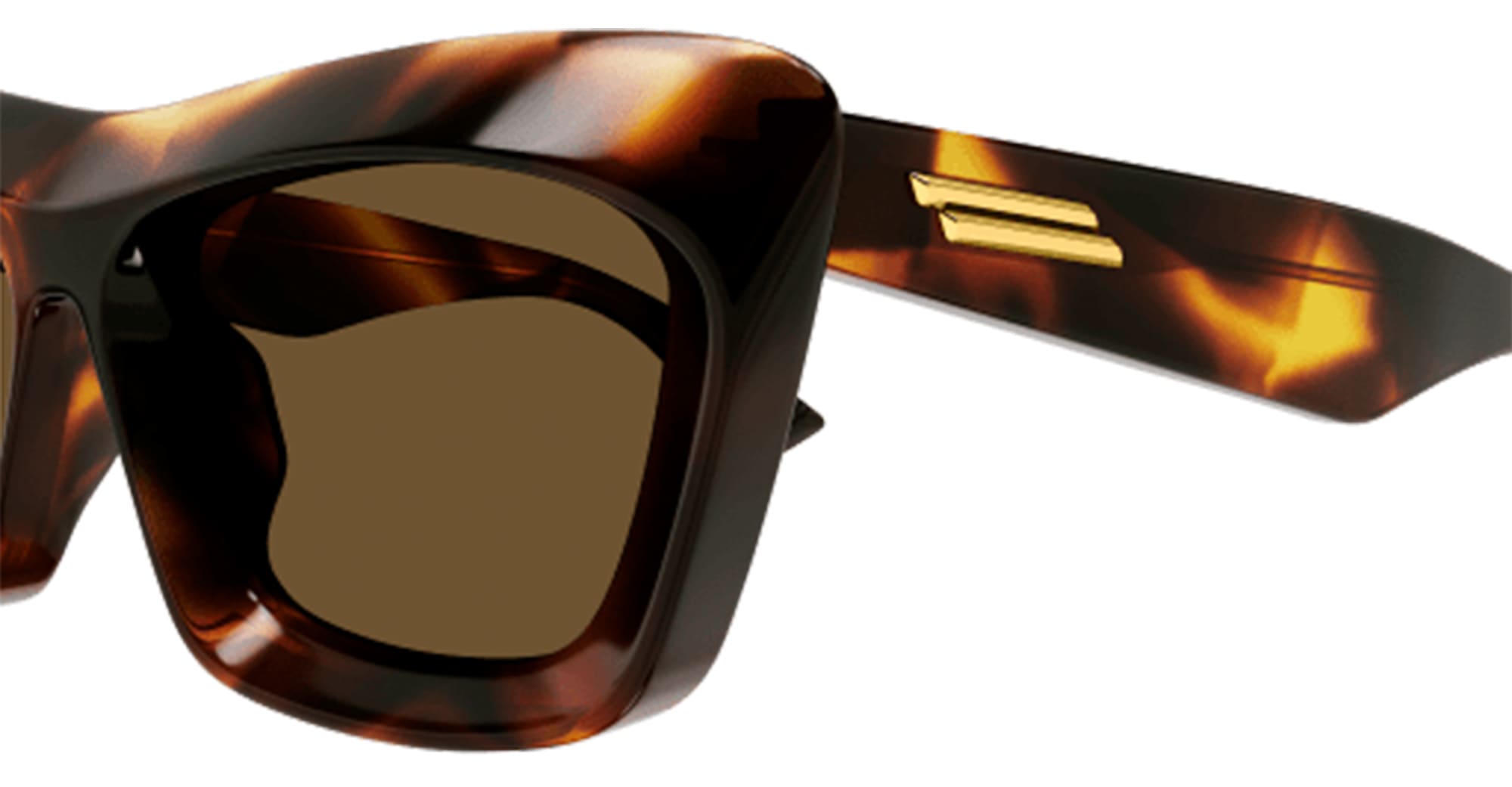 Bv1283s-002 Nd Acetate Sunglasses