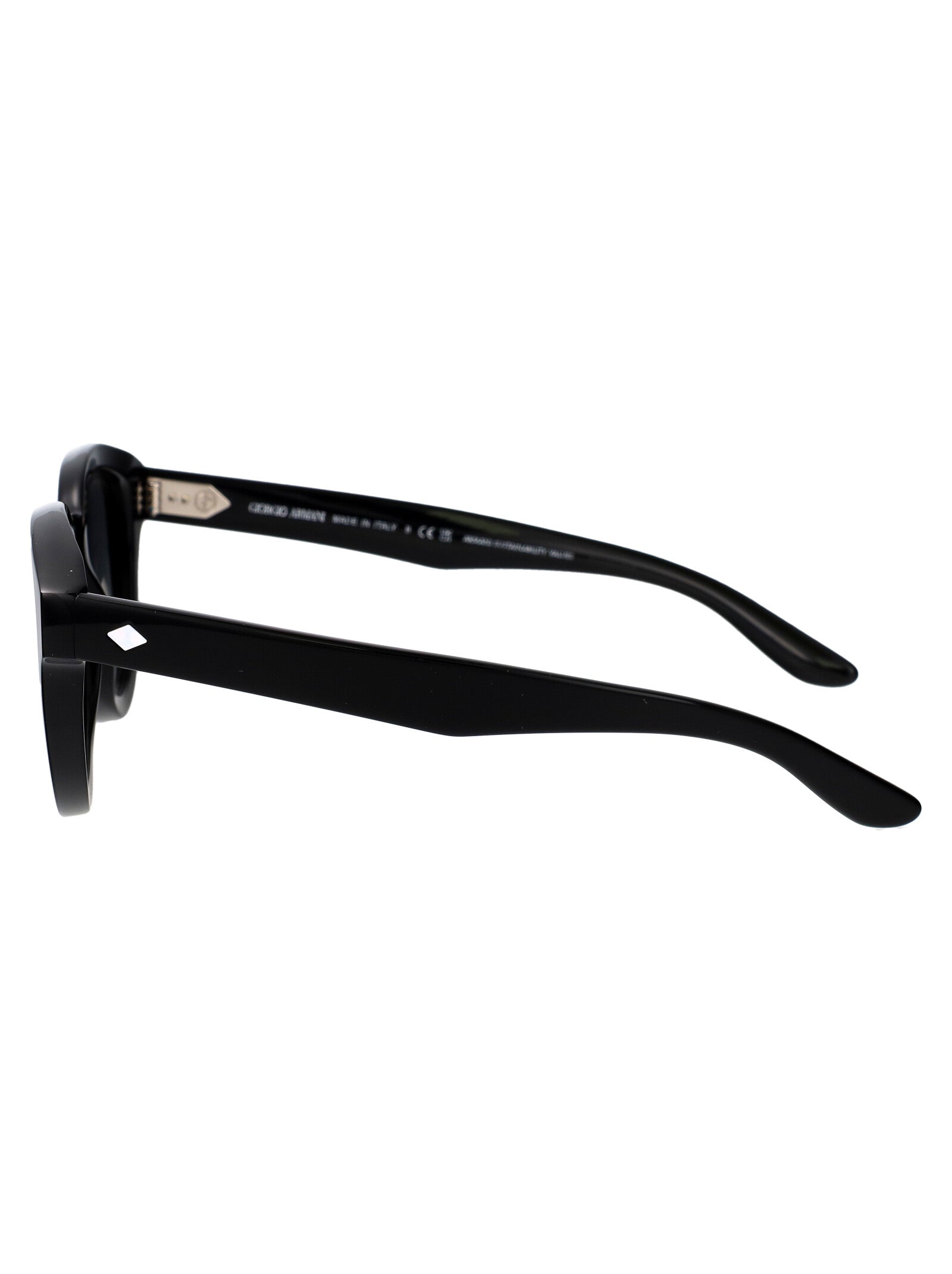 0ar8181 587571 Black Acetate Sunglasses