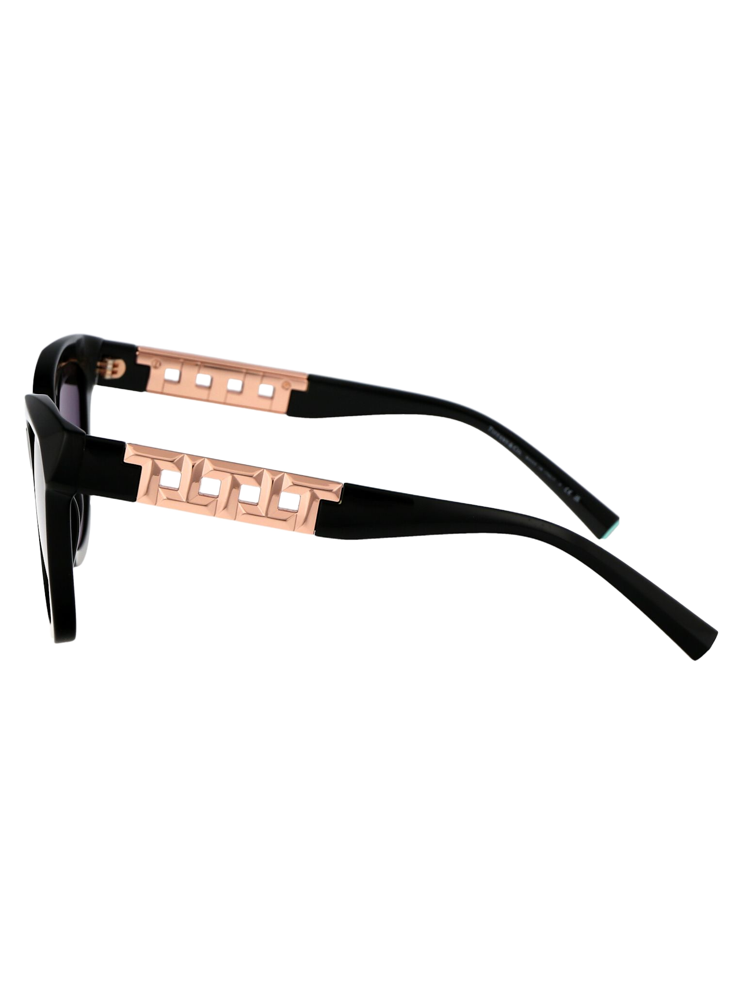 0tf4215 80013c Black Acetate Sunglasses
