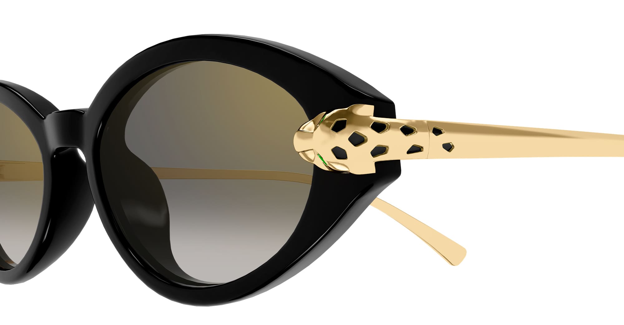 Ct0634s-001 Nd Acetate Sunglasses