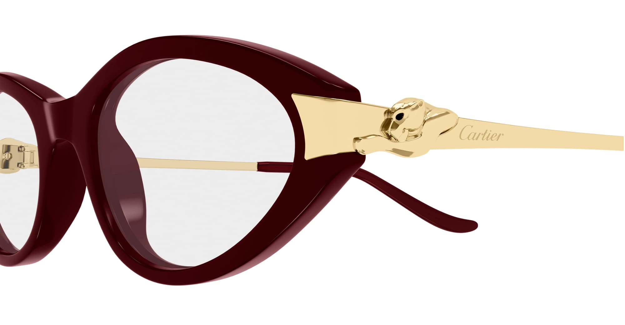 Ct0633o-003 Nd Acetate Eyeglasses
