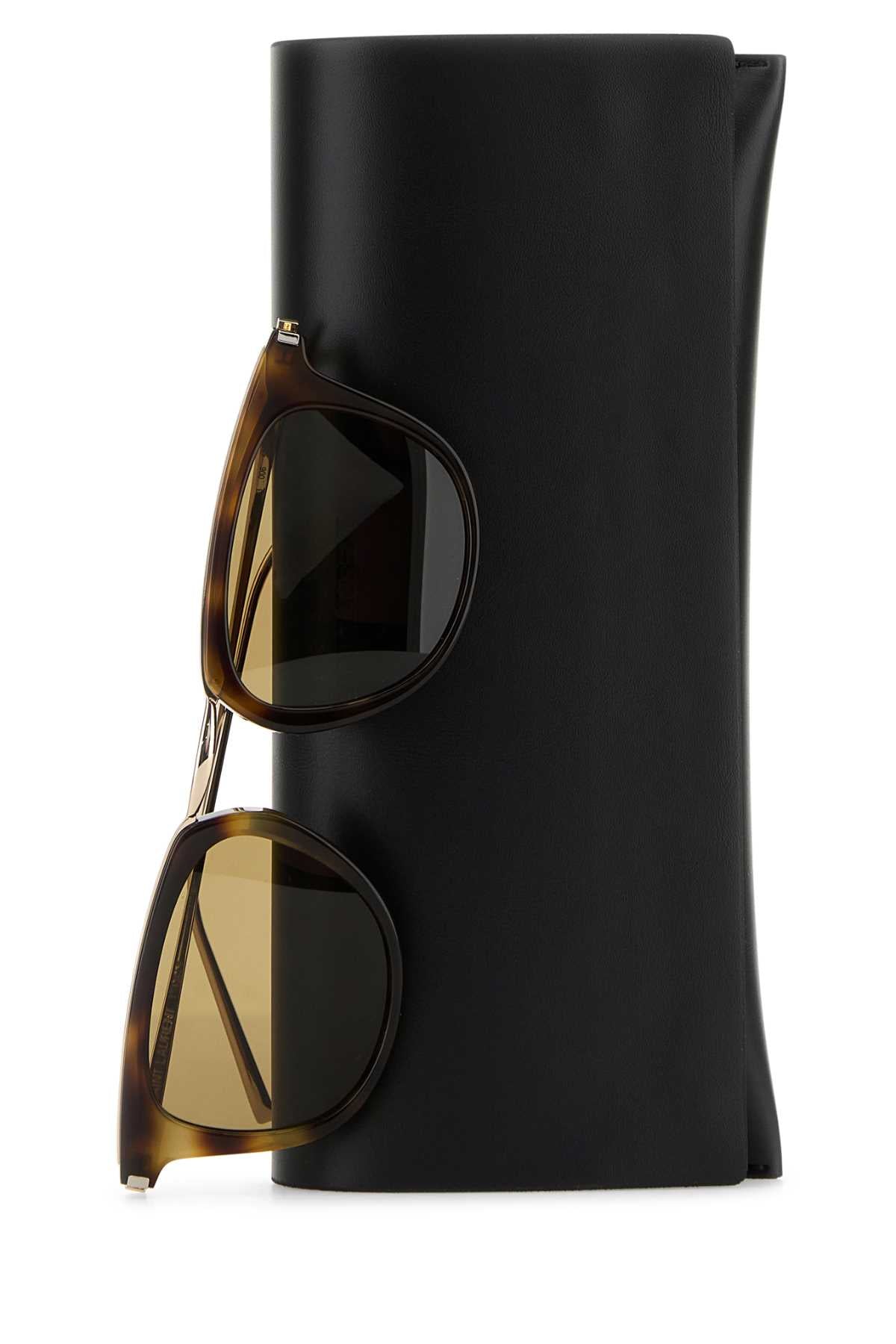 Havanagoldbrown Exterior: Acetate Metal Occhiali Da Sole