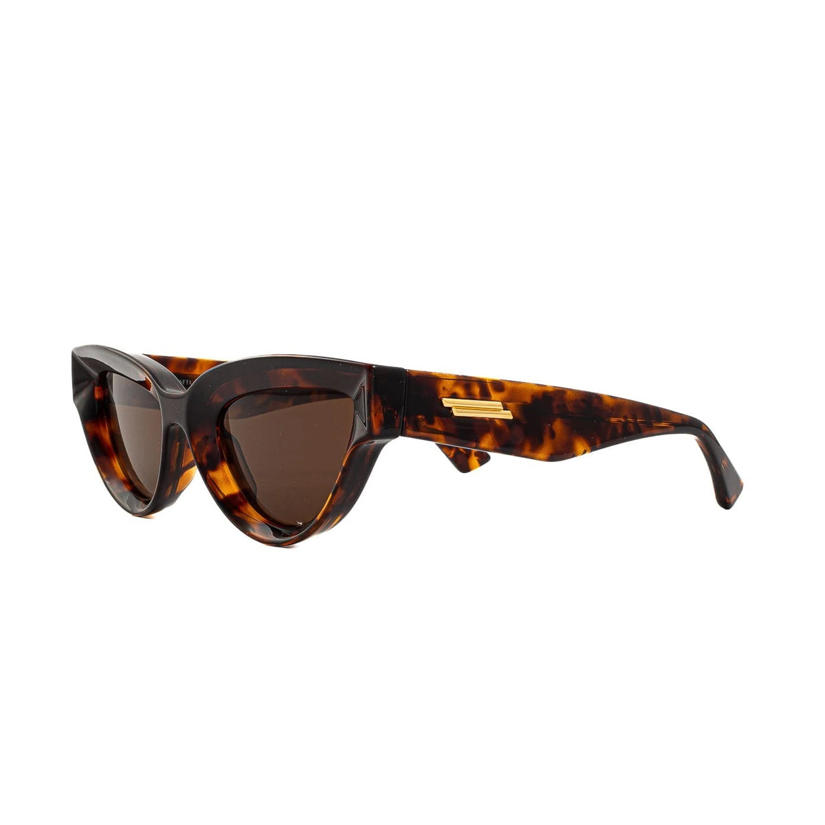 BV1249S 002 Marrone Injected Occhiali Sole