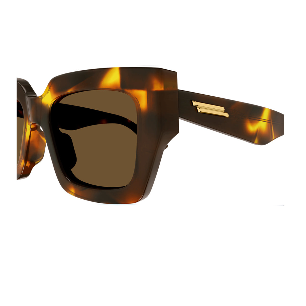 BV1212S LINEA NEW CLASSIC 005 Marrone Recycled Acetate Occhiali Sole