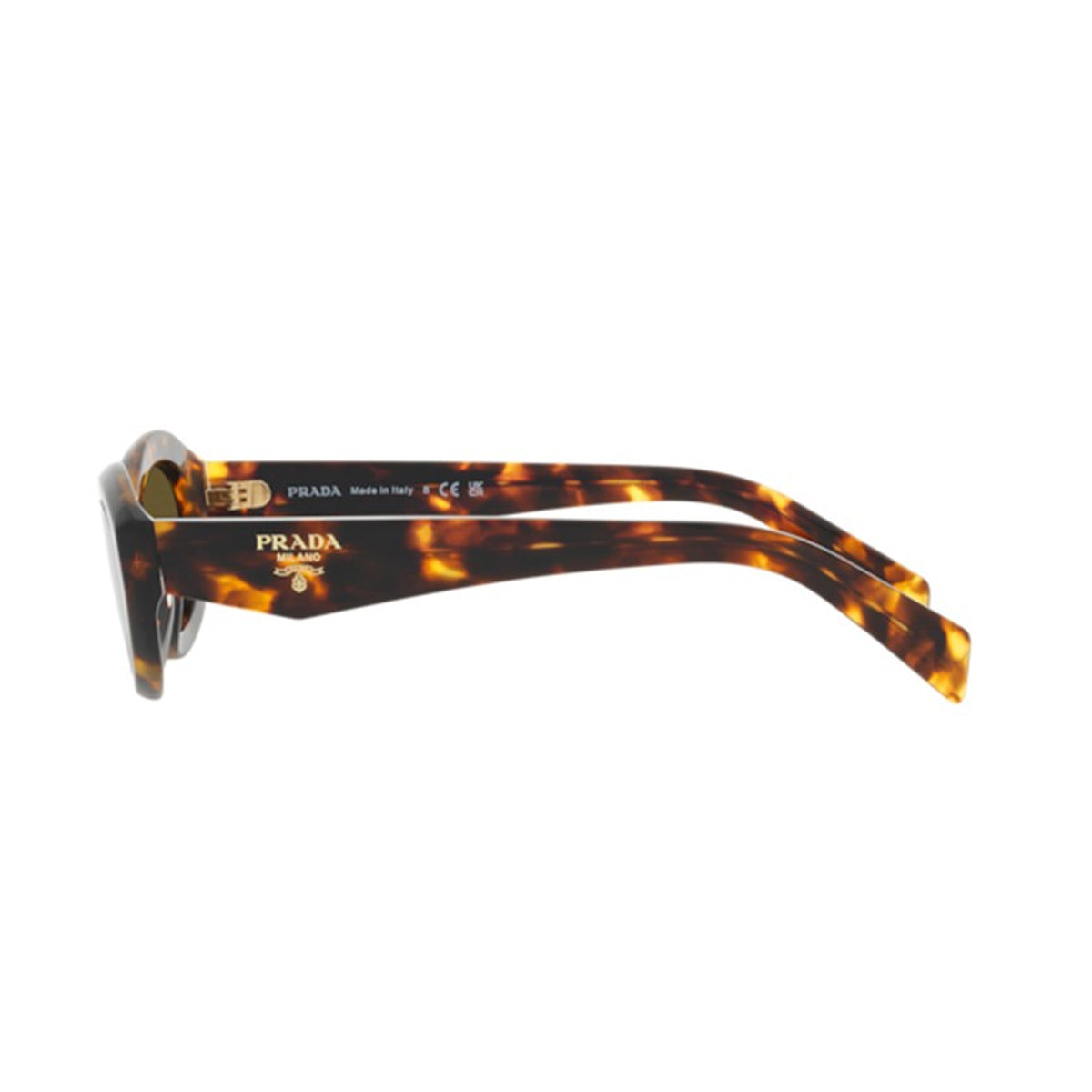 PR 26ZS 14L09Z Marrone Acetate Occhiali Sole