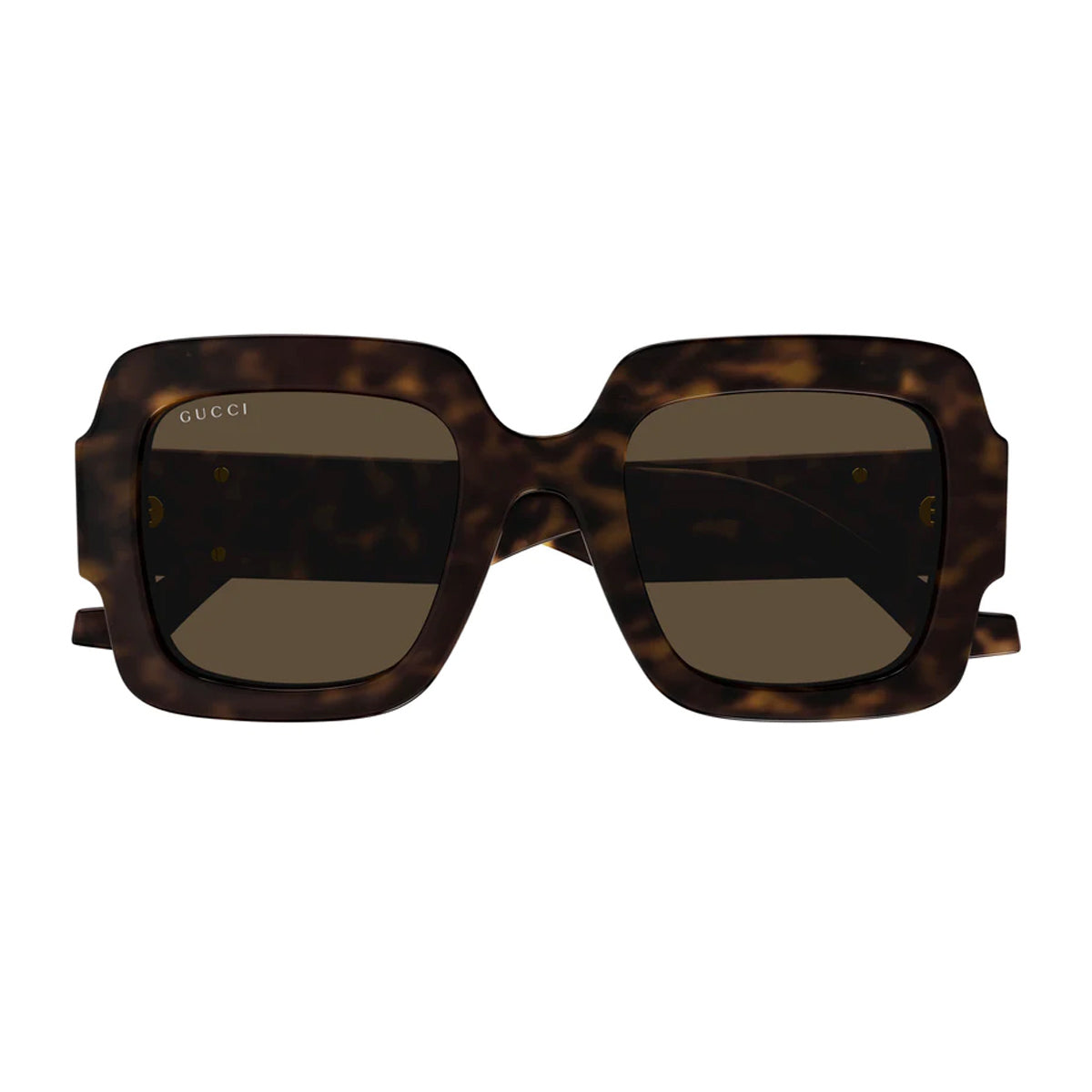 GG1547S 002 Marrone Acetate Occhiali Sole