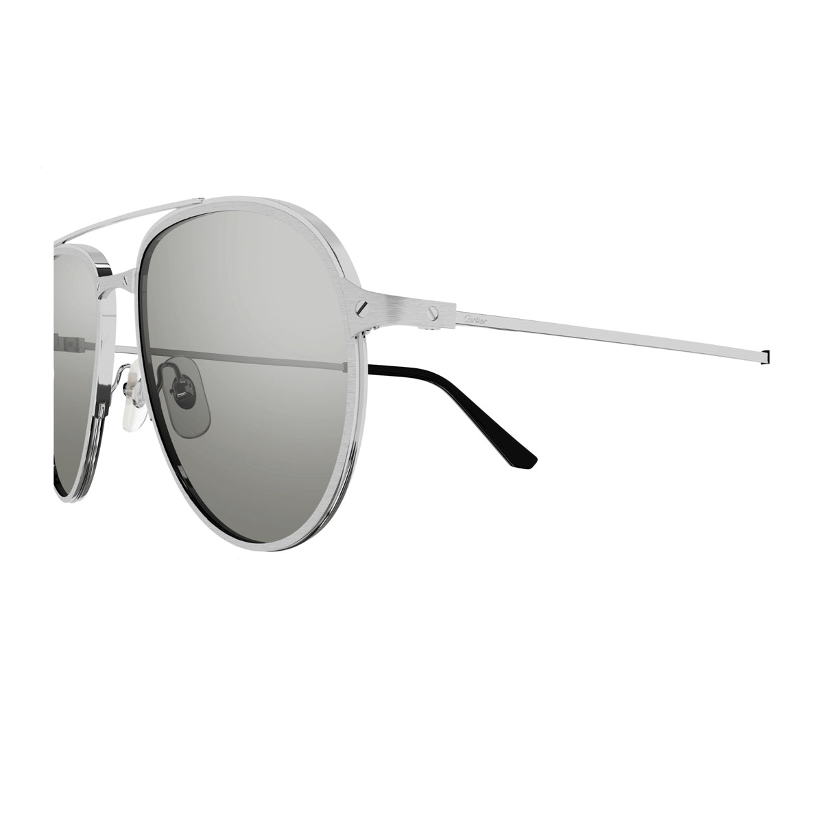 CT0325S Argento Metal Occhiali Sole
