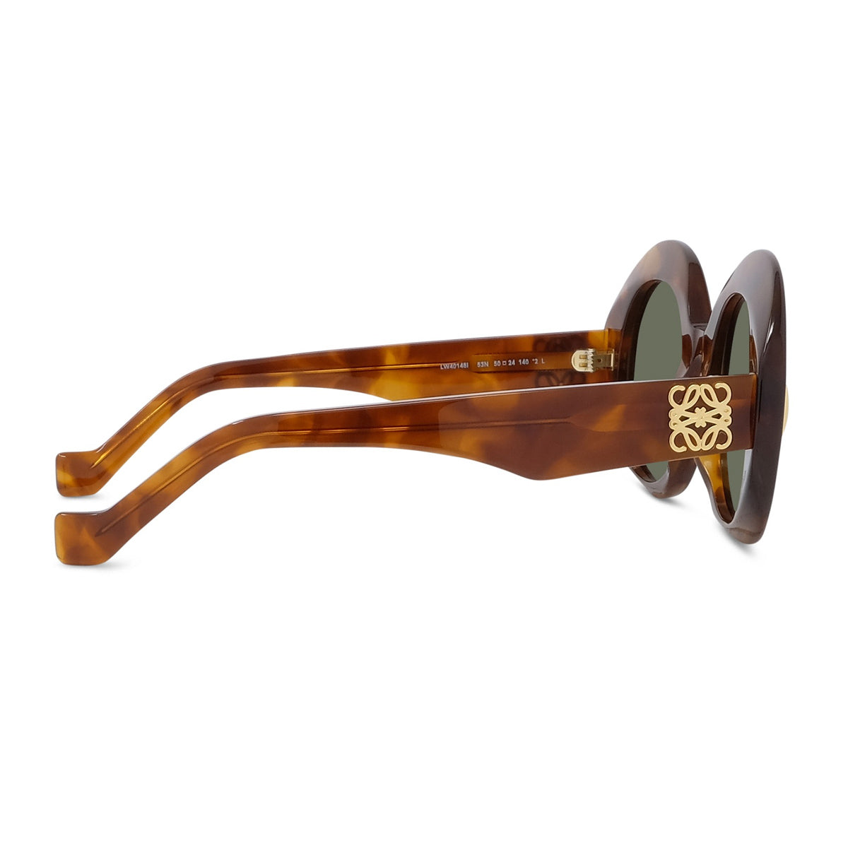 LW40146I 53N Havana Marrone Occhiali Da Sole