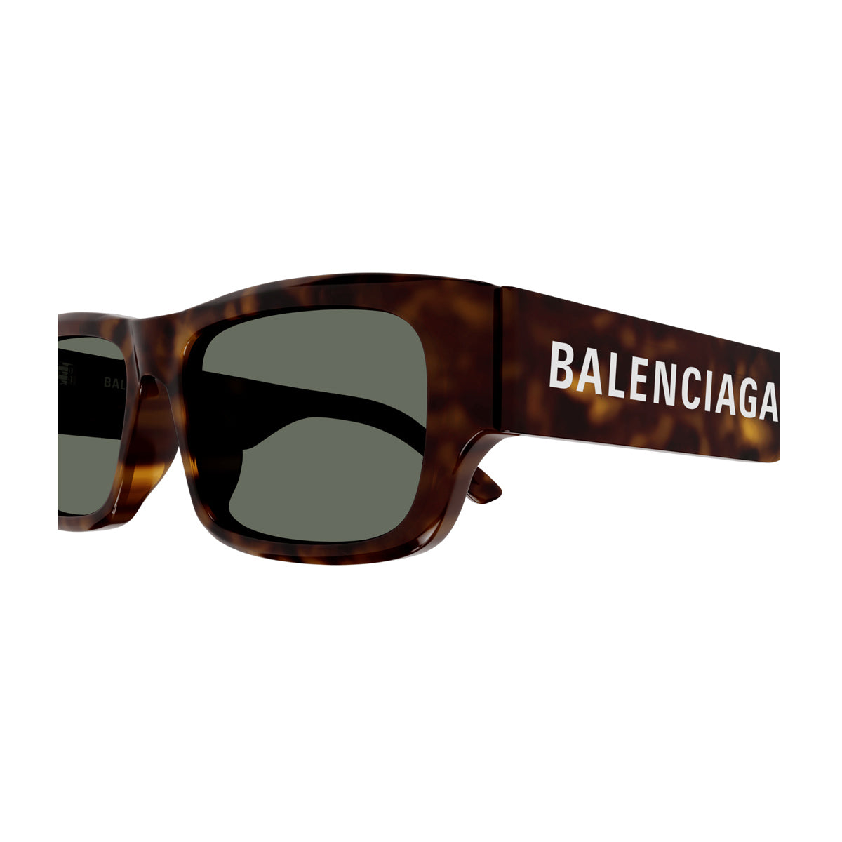 BB0261SA Marrone Celluloid Occhiali Sole