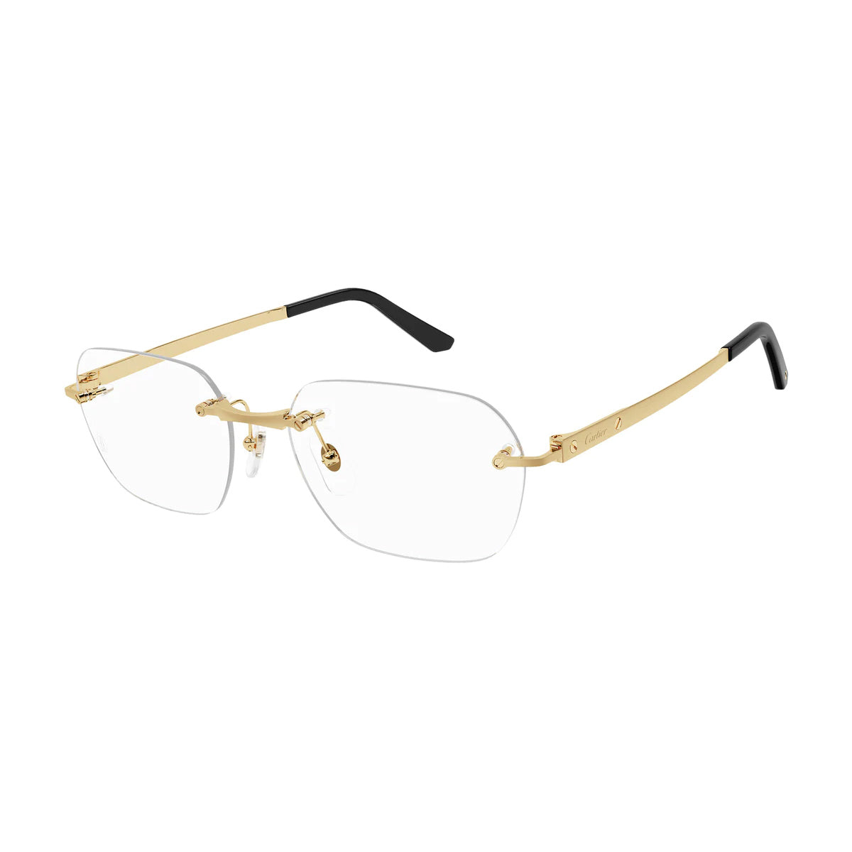 CT0407O 001 Oro Titanium Occhiali Vista