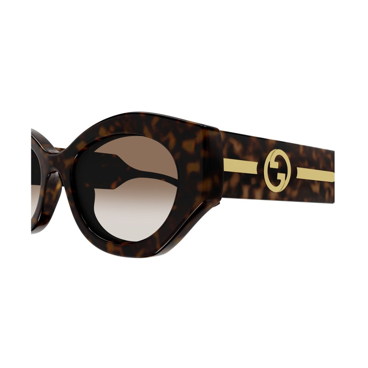 GG1553S Linea Gucci Lido 002 havana crystal brown Marrone Injected Occhiali Sole