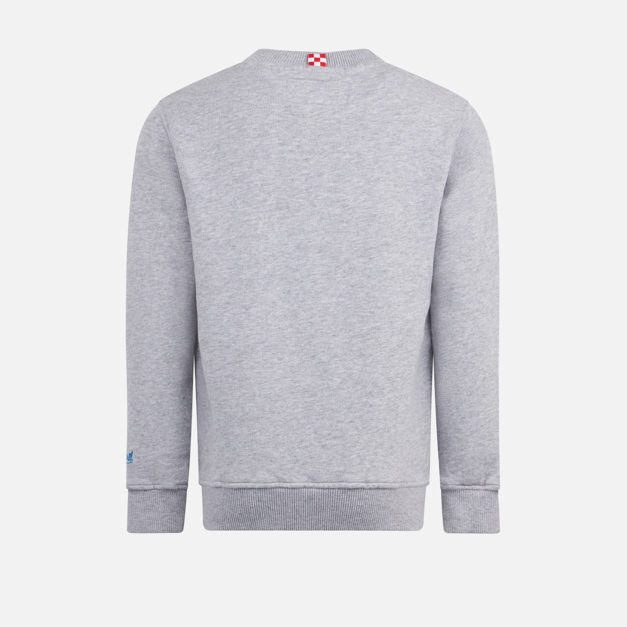 Boy Crewneck Grey Sweatshirt With Snoopy Print | Peanuts™ Special Edition