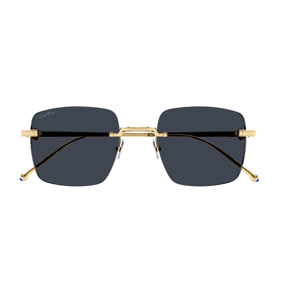 CT0403S 002 Oro Titanium Occhiali Sole