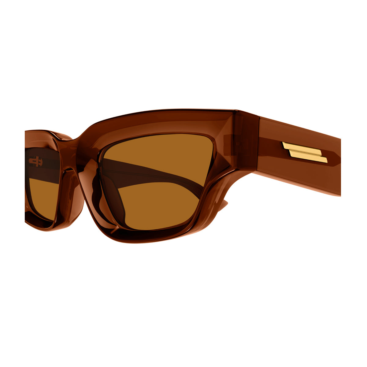 BV1250S 004 Marrone Injected Occhiali Sole