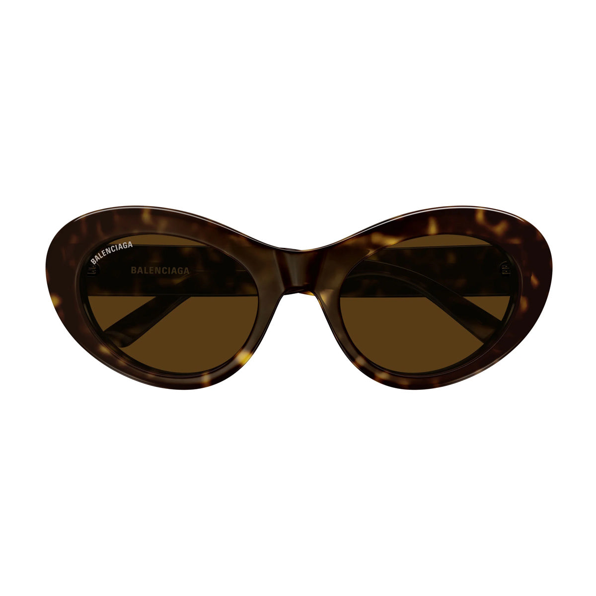 BB0294S 002 Marrone Acetate Occhiali Sole