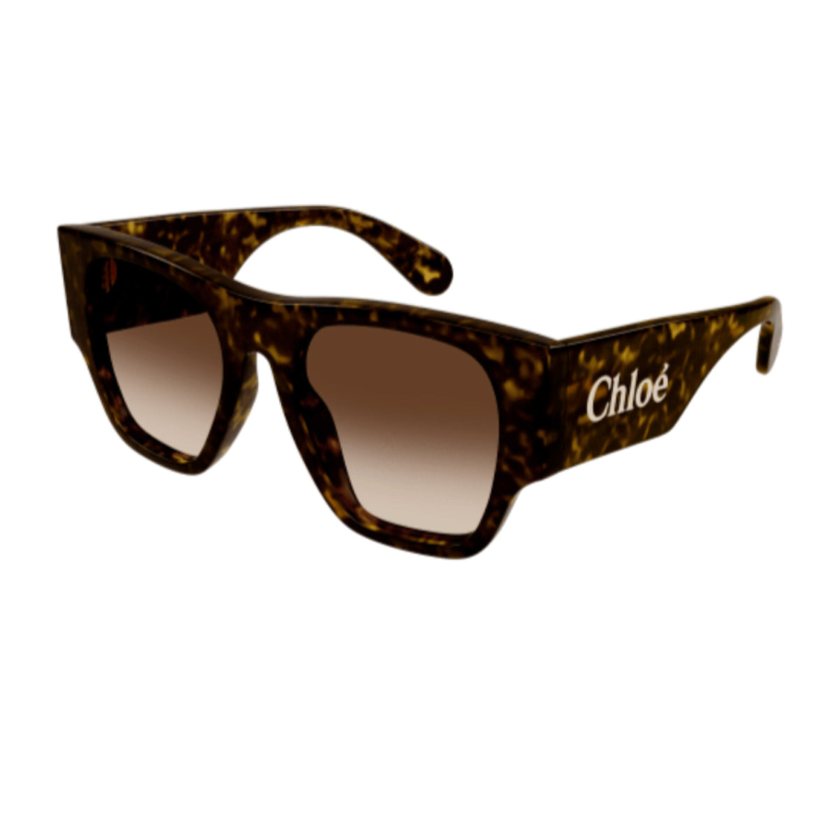 Chloé CH0233S Linea 002 Havana Brown Marrone Acetate Occhiali Da Sole