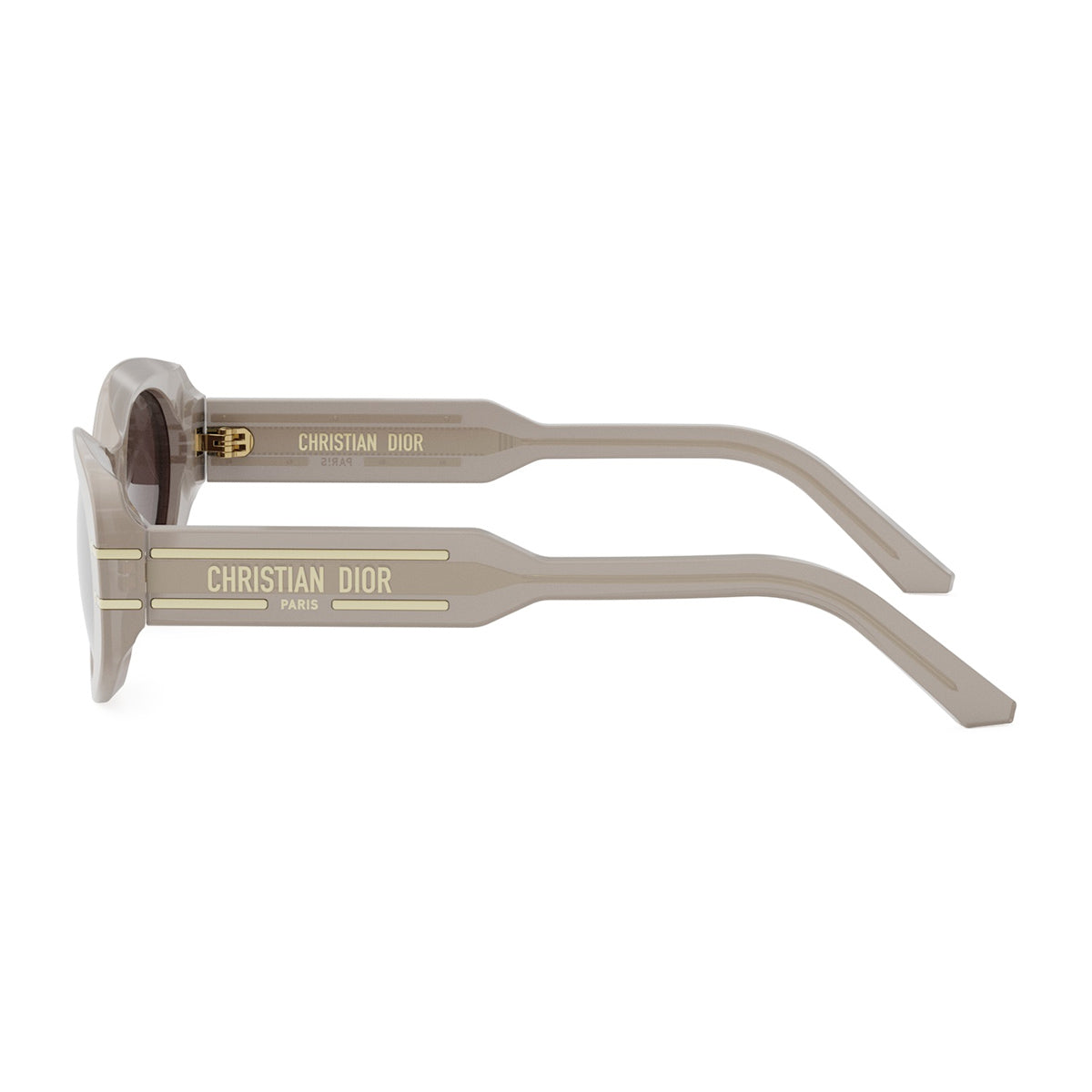 DiorSignature B8U 78F0 Beige Acetate Occhiali Da Sole