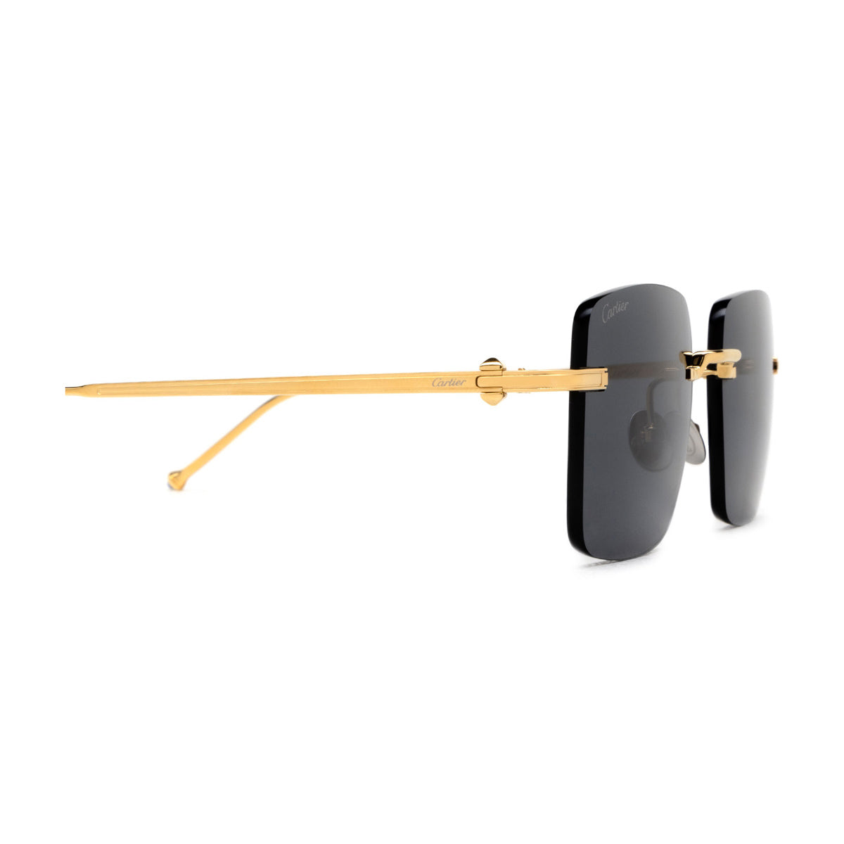 CT0403S 002 Oro Titanium Occhiali Sole