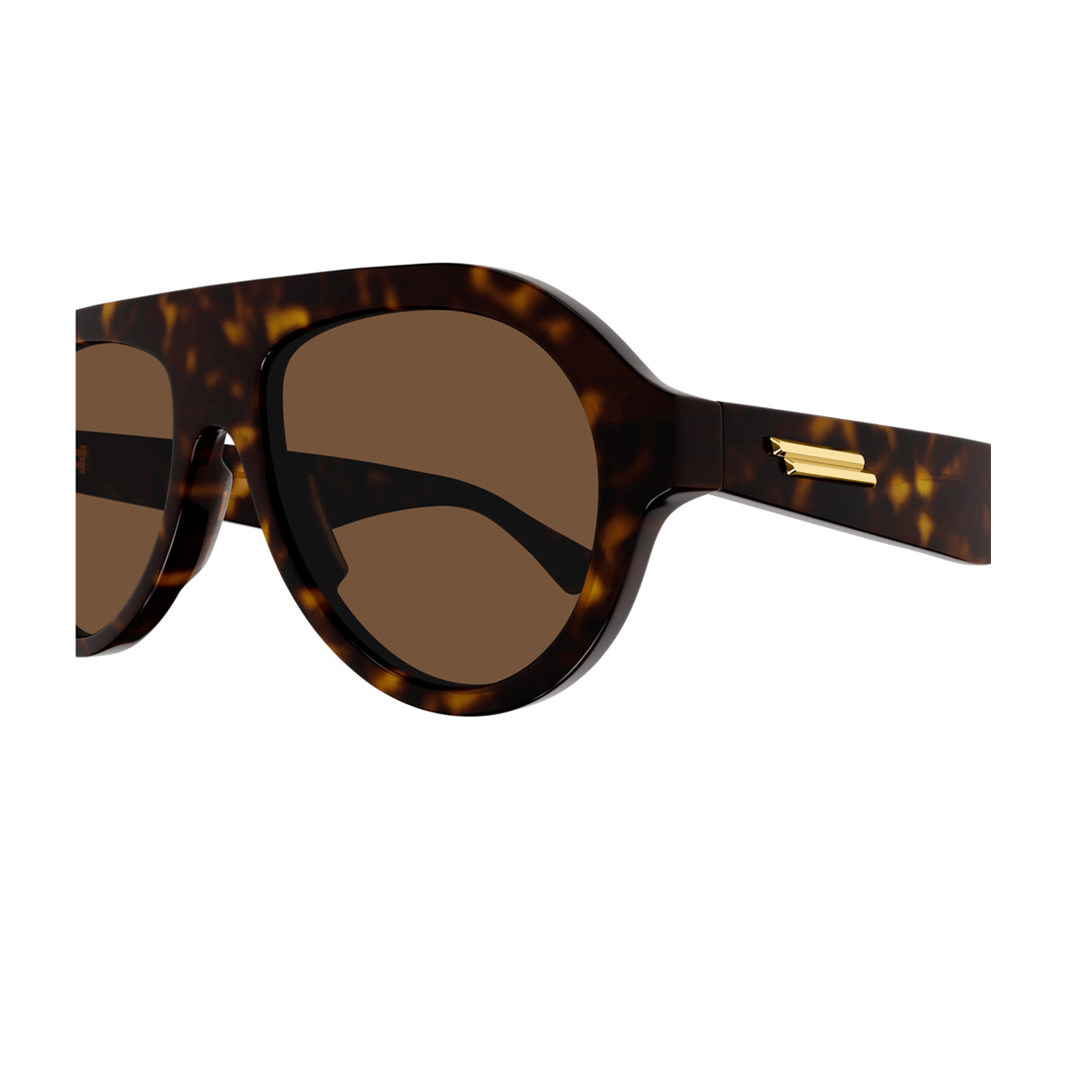BV1214S Marrone Acetate Occhiali Sole