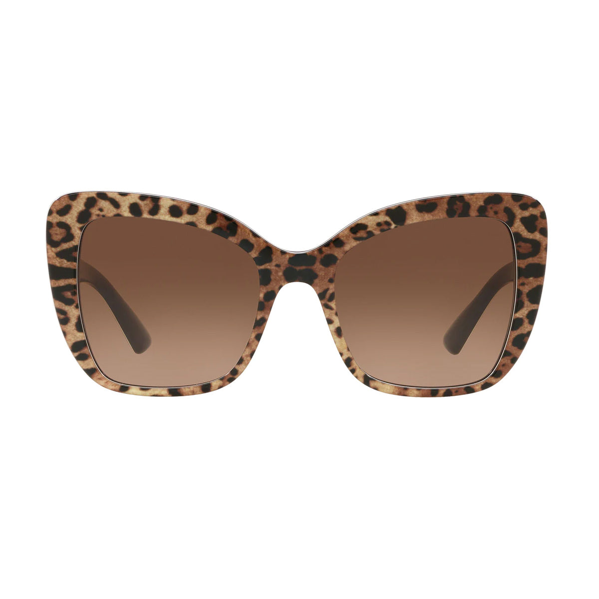DG4348 316313 Marrone Celluloid Occhiali Sole