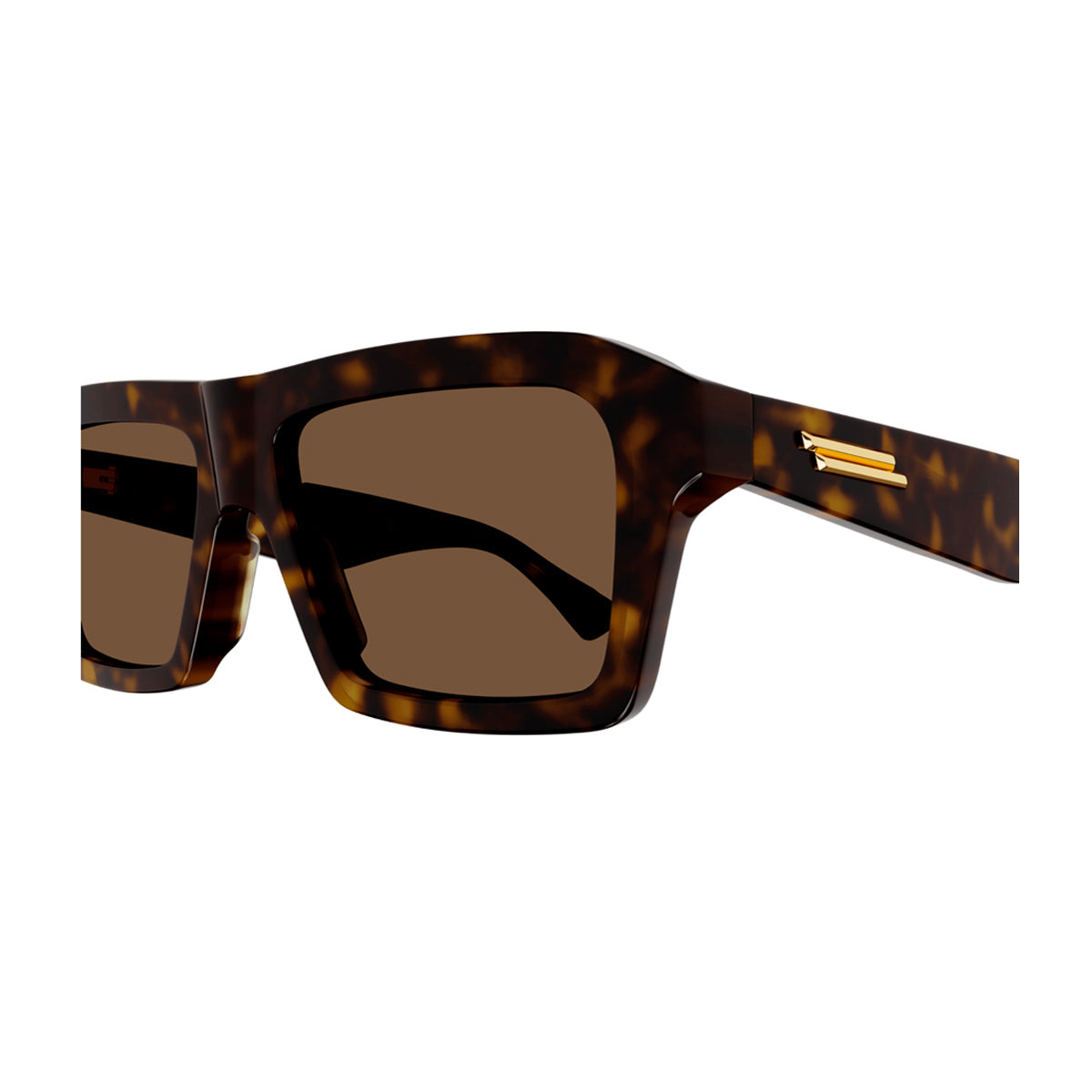 BV1213S Marrone Celluloid Occhiali Sole