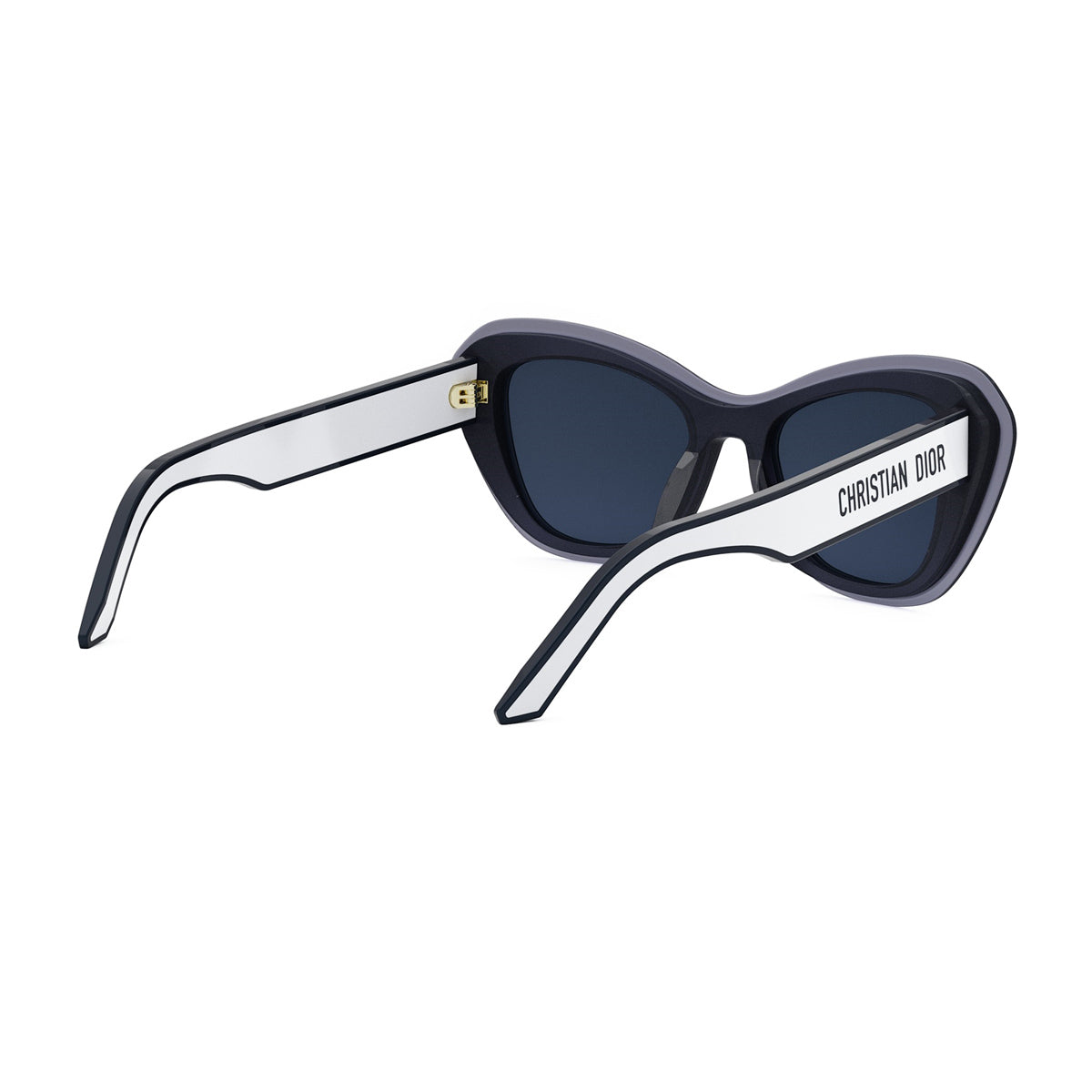 DiorPacific B3U 30b0 Blu Acetate Occhiali Da Sole