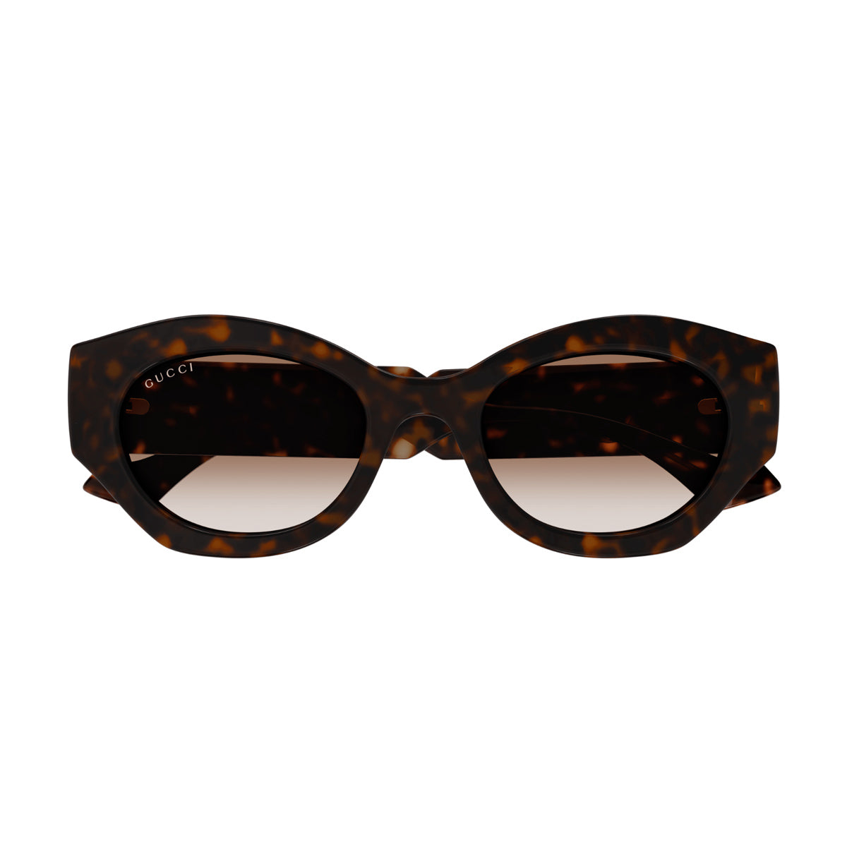 GG1553S Linea Gucci Lido 002 havana crystal brown Marrone Injected Occhiali Sole