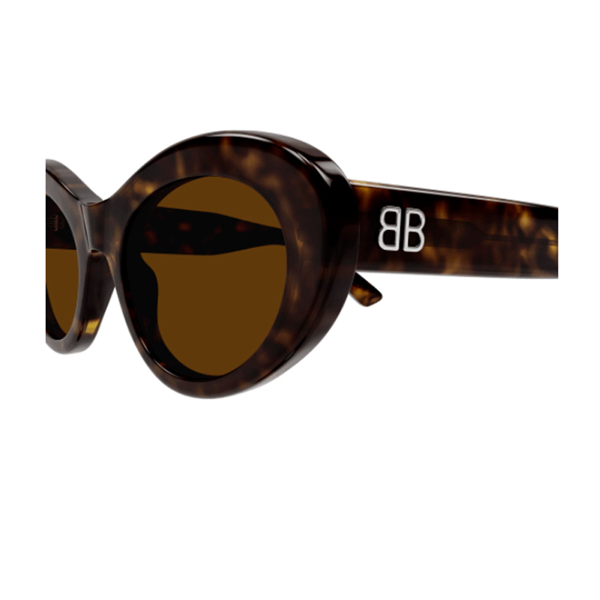 BB0294S 002 Marrone Acetate Occhiali Sole