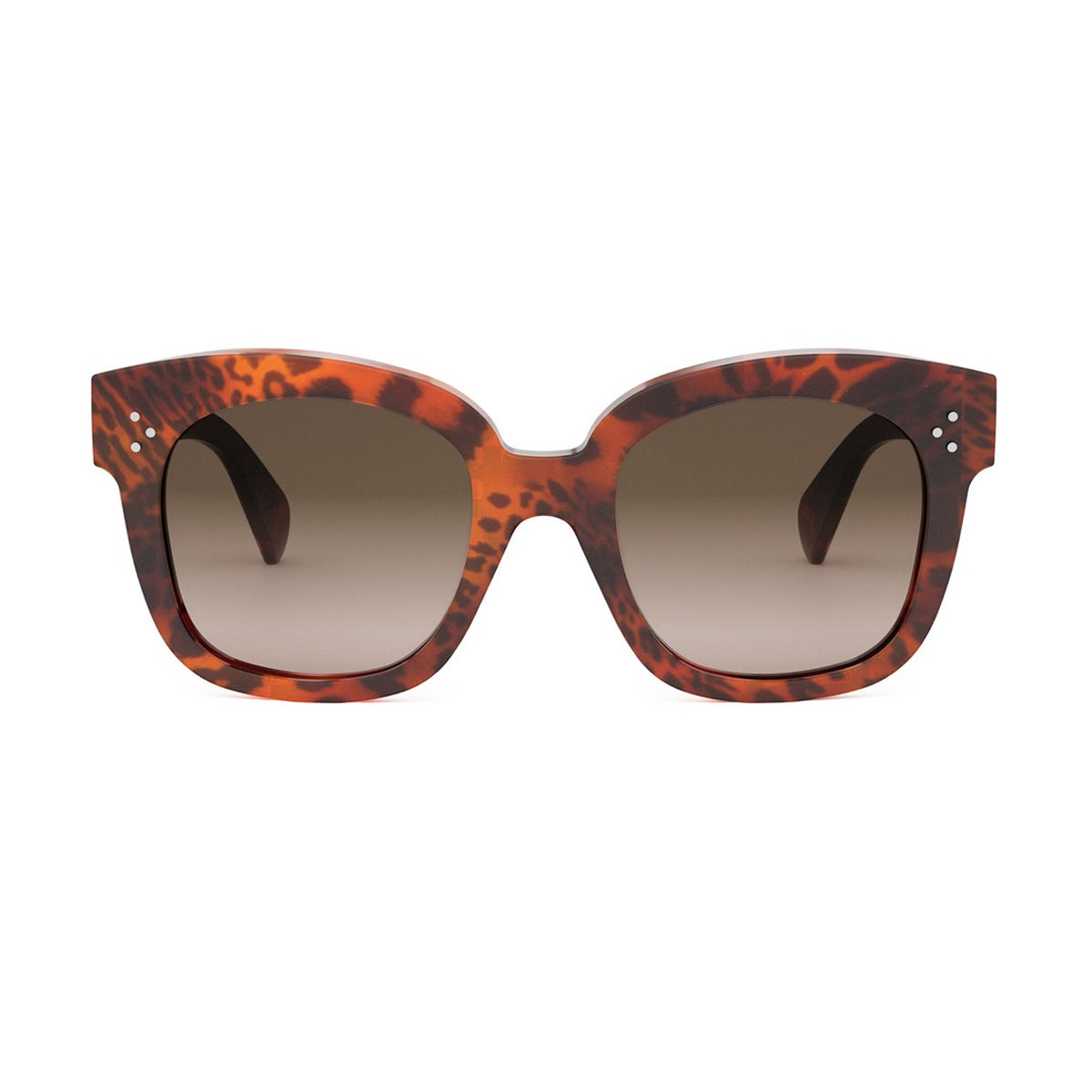 CL4002UN BOLD 3 DOTS 99f HAVANA LEOPARDATO Marrone Acetate Occhiali Sole