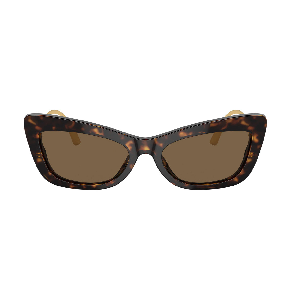 DG4467B Linea DG Crystal 502-73 Havana-Oro Marrone Acetate/metal Occhiali Sole