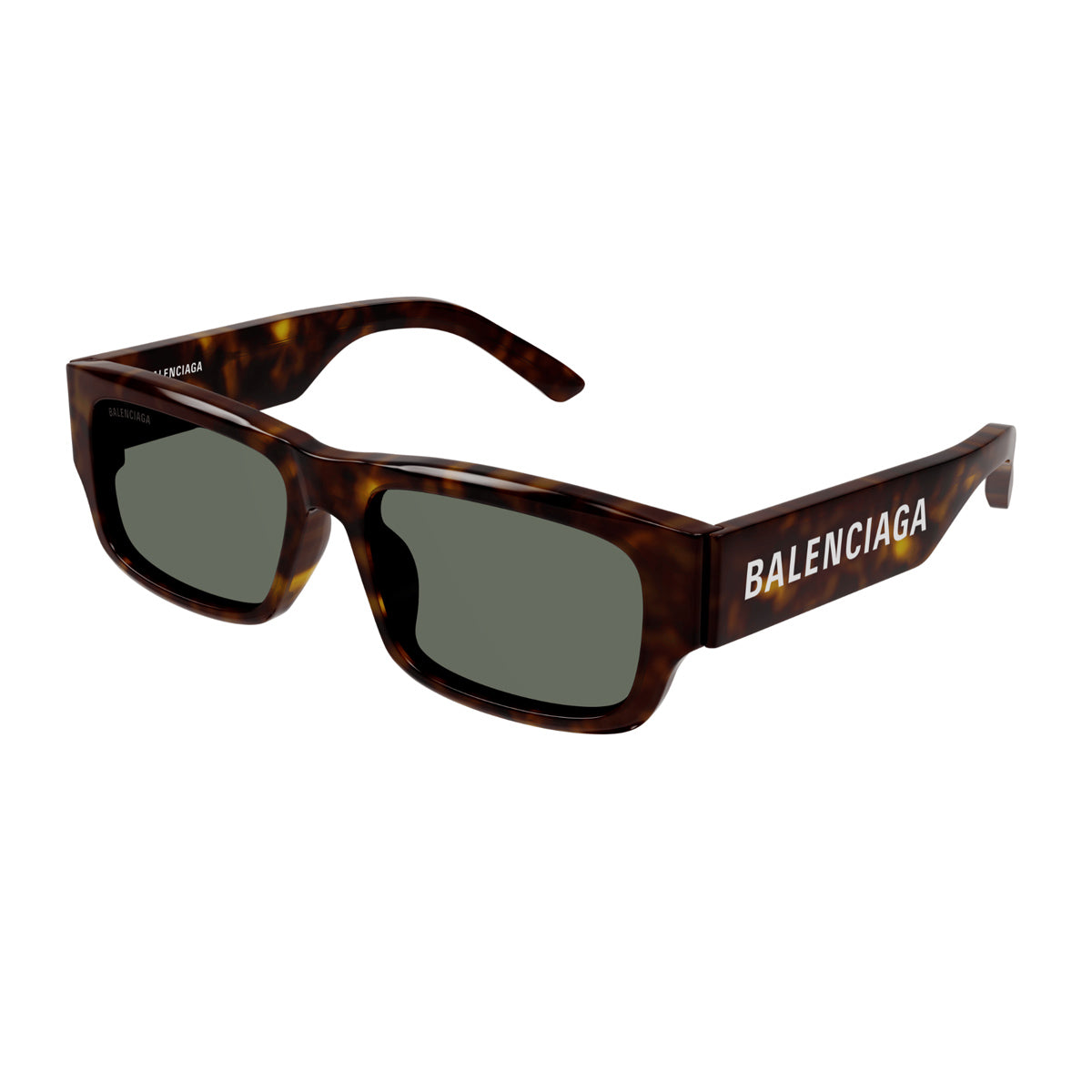 BB0261SA Marrone Celluloid Occhiali Sole