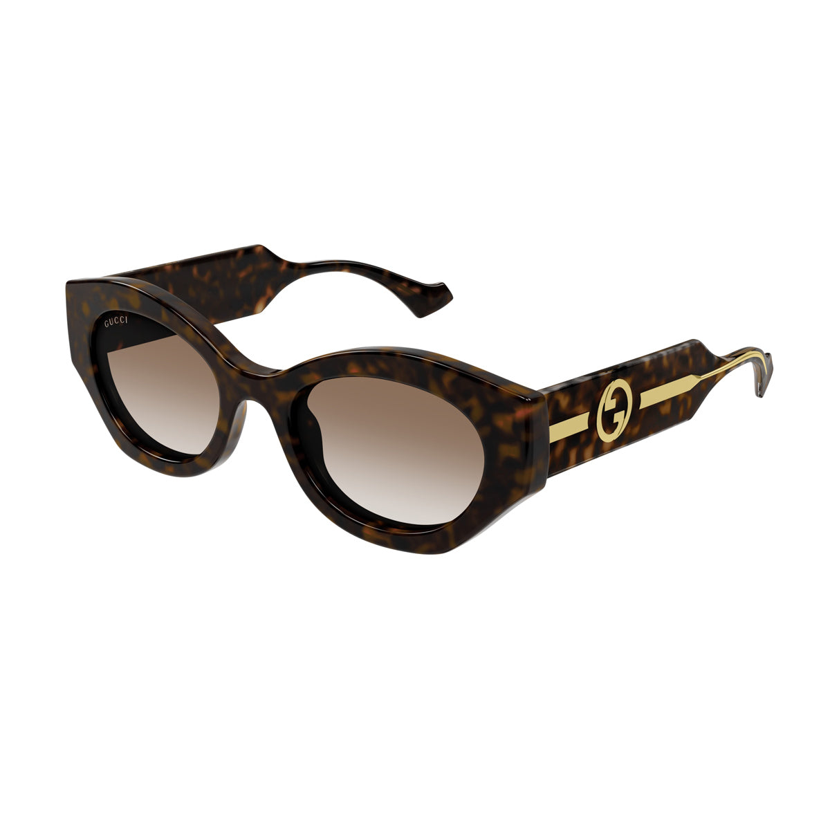 GG1553S Linea Gucci Lido 002 havana crystal brown Marrone Injected Occhiali Sole