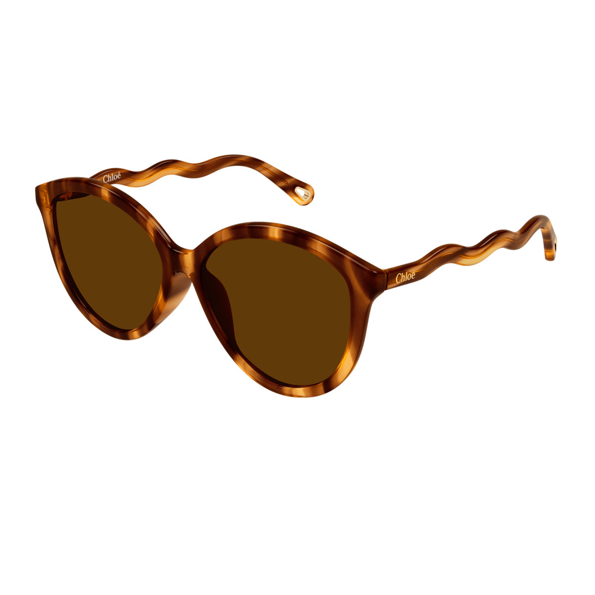 CH0087S Marrone Celluloid Occhiali Sole
